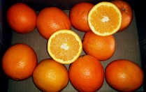 oranges5